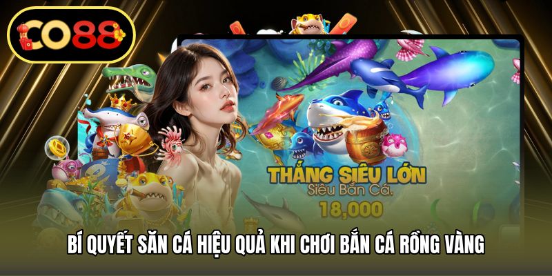 Bí quyết săn cá hiệu quả khi chơi bắn cá rồng vàng