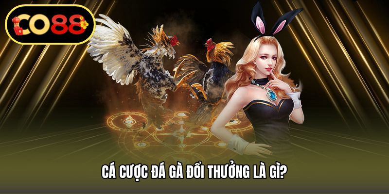 Cá cược đá gà đổi thưởng là gì?