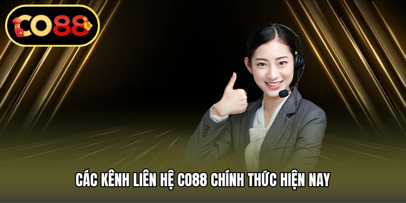 Các kênh Liên hệ CO88 chính thức hiện nay