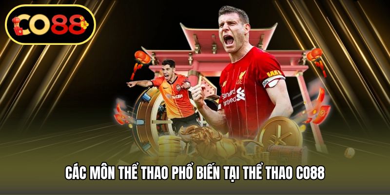 Các môn thể thao phổ biến tại thể thao CO88