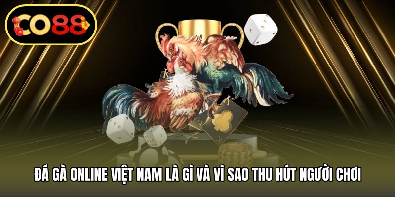 Đá gà online Việt Nam là gì và vì sao thu hút người chơi