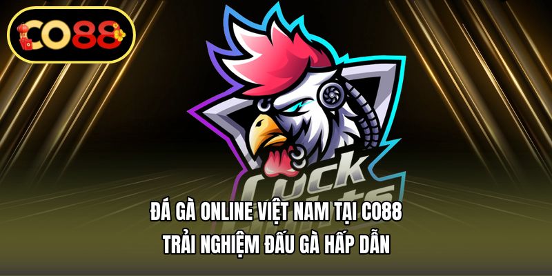 đá gà online Việt Nam