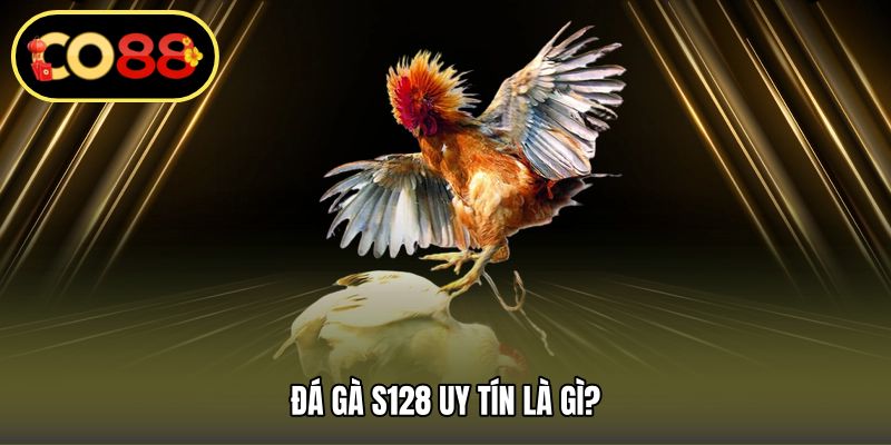 Đá gà S128 uy tín là gì?