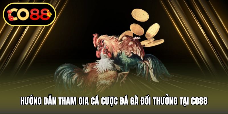 Hướng dẫn tham gia cá cược đá gà đổi thưởng tại CO88