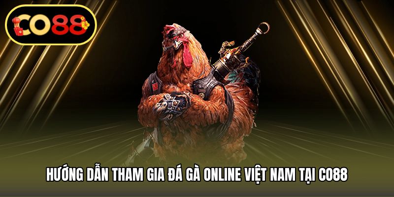 Hướng dẫn tham gia đá gà online Việt Nam tại CO88