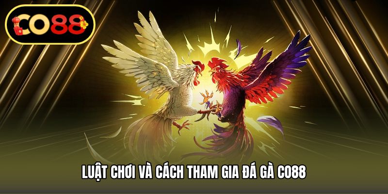 Luật chơi và cách tham gia đá gà CO88