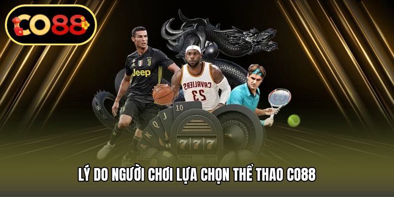 Lý do người chơi lựa chọn thể thao CO88