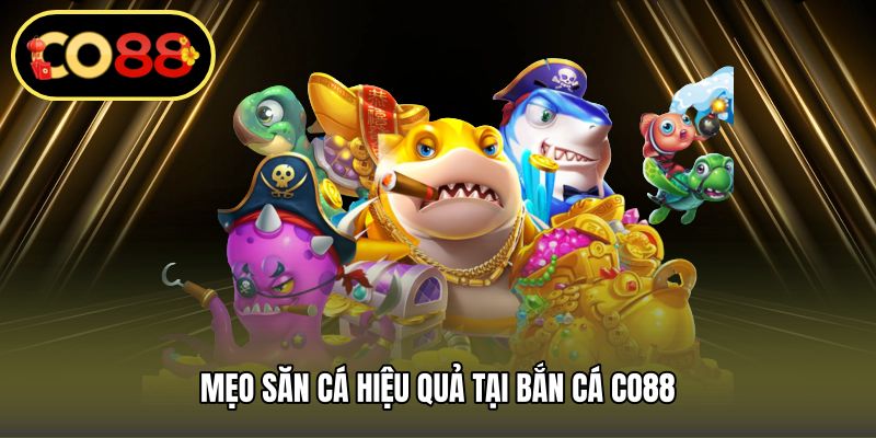 Mẹo săn cá hiệu quả tại bắn cá CO88