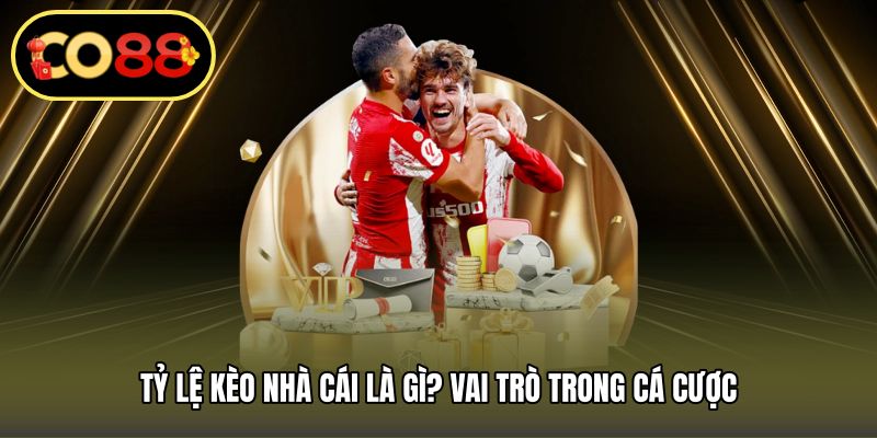 Tỷ lệ kèo nhà cái là gì? Vai trò trong cá cược